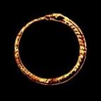 Panacea Profile Picture