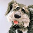 bakerrichardlee Profile Picture