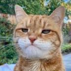 hgeorge Profile Picture