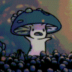 QuentinDURIEZ Profile Picture