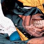 acidoverride Profile Picture