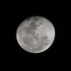 jkingno1 Profile Picture