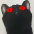 Schmak Profile Picture