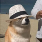 cporzeczkowe Profile Picture