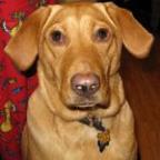 alealbright Profile Picture