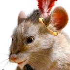 FollowTheLion Profile Picture