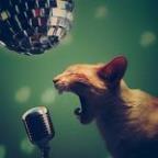 LostLogic Profile Picture