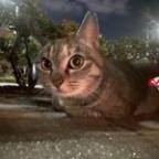 Ai0330 Profile Picture