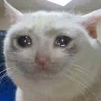 HerrMueller Profile Picture