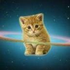 vsneris Profile Picture