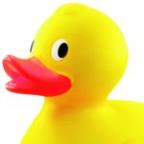 Chris Ayers Profile Picture