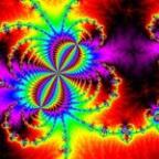 candide Profile Picture