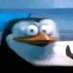 OndrejLapka Profile Picture