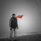 BDbadger Profile Picture