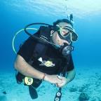 N Solanki Profile Picture