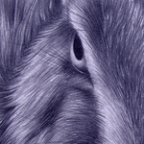 Otto_Luvpuppy Profile Picture