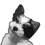 tommysenarii Profile Picture