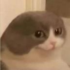 rachol111 Profile Picture