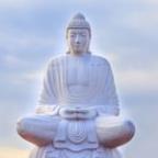 DMum Profile Picture