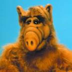 edtroit Profile Picture