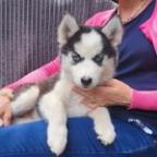 Sytze Profile Picture