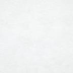 mau99 Profile Picture