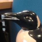 SinisterPenguin Profile Picture