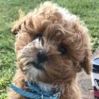 AshleyPettit Profile Picture