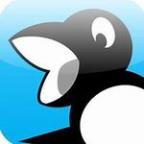 Magpie_Rob Profile Picture