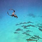 Marko Solic Profile Picture