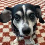 emiwil Profile Picture