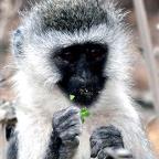 Peter72 Profile Picture