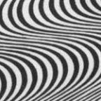 ubiquitoid Profile Picture