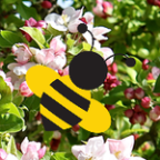 MBeeHive Profile Picture