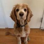 ariannajuel Profile Picture