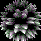 AutoBot Profile Picture