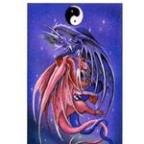 datadragyn Profile Picture