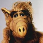 Andre-Radtke Profile Picture