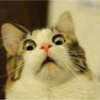 Cyparson Profile Picture