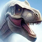 JC-27112049-0 Profile Picture