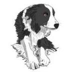 CU07031518-0 Profile Picture