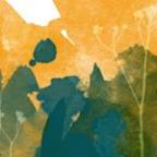 Parisa Profile Picture