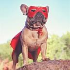 JHarvey Profile Picture