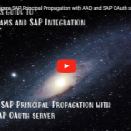 Teaser Screen for YouTube session on SAP Prinicipal Propagation